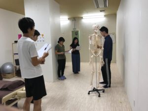 姫路　触診　股関節・骨盤