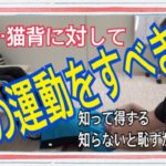 円背