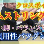 ハムスト　クロスポイント