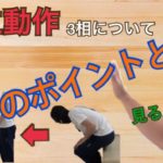 起立動作
