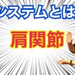 肩関節