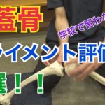 膝蓋骨