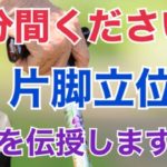 片脚立位