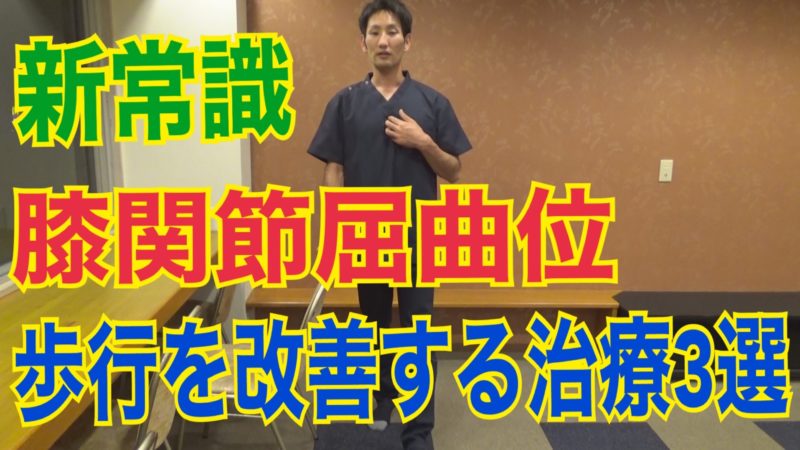 膝関節