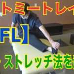 アナトミトレイン