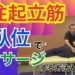 脊柱起立筋