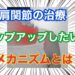 肩関節